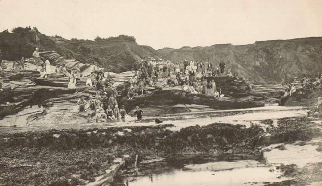 Tinker bunnys bathing pool